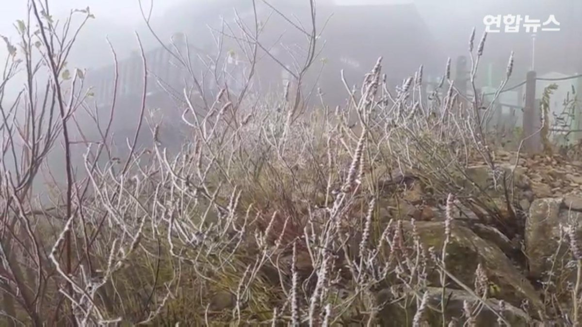 [현장영상] 설악산 나뭇가지에 서리꽃…올 가을들어 처음