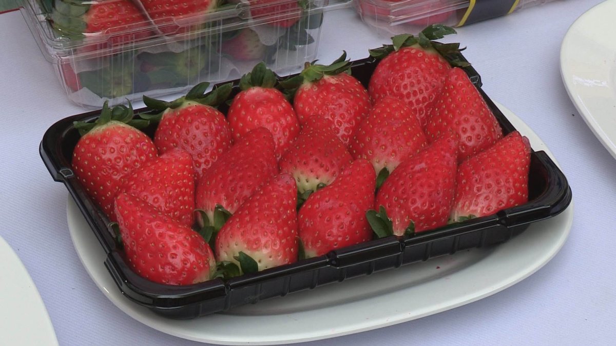 '맛으로 동남아 제패'…논산 딸기 세계화