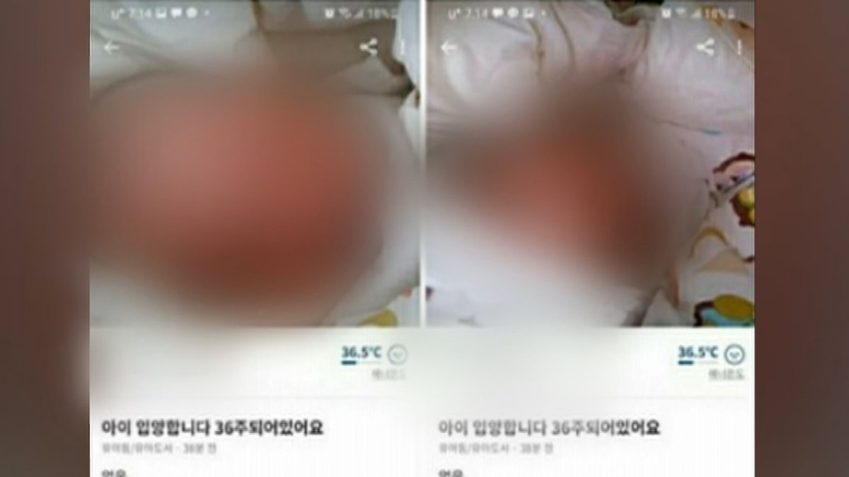 중고거래 앱에 "36주 아이 20만원"…"생모가 올려"