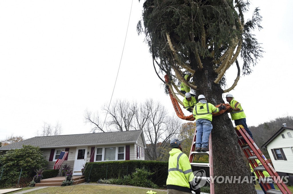 2019 Rockefeller Center Christmas Tree Cutting in Florida, NY
