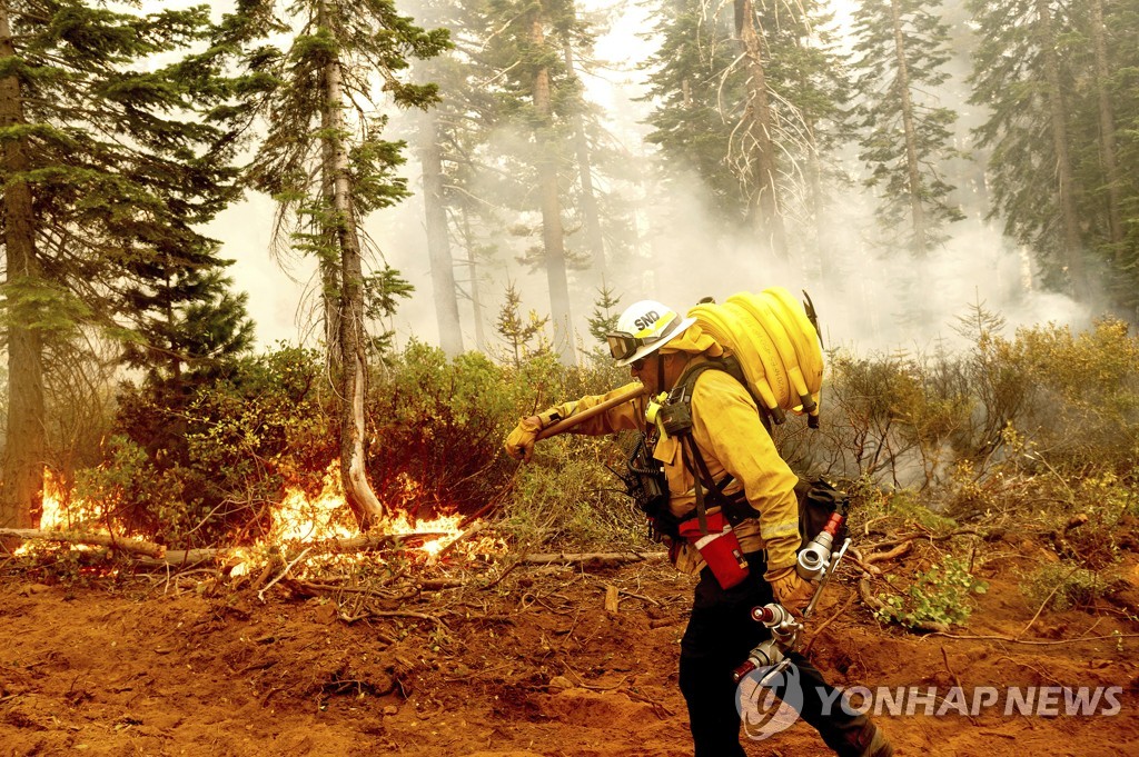 Western Wildfires Firefighters