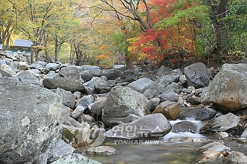 사나사 계곡