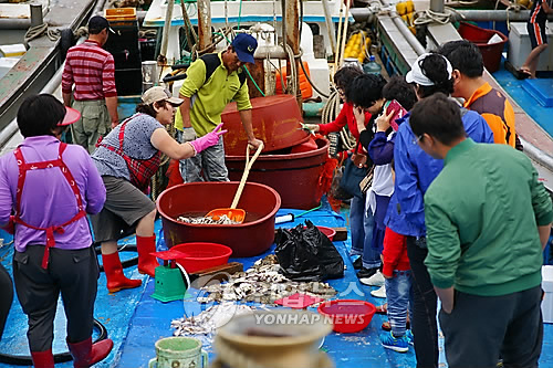 인천 북성포구 선상 파시