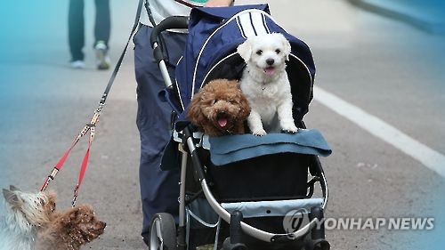 반려동물 산업 2조 시대