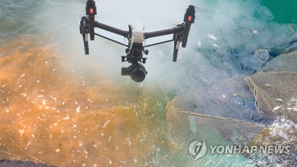 드론(자료)
