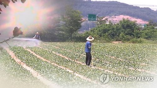 더 늙어가는 농촌…10명 중 6명은 60세 이상 (CG)