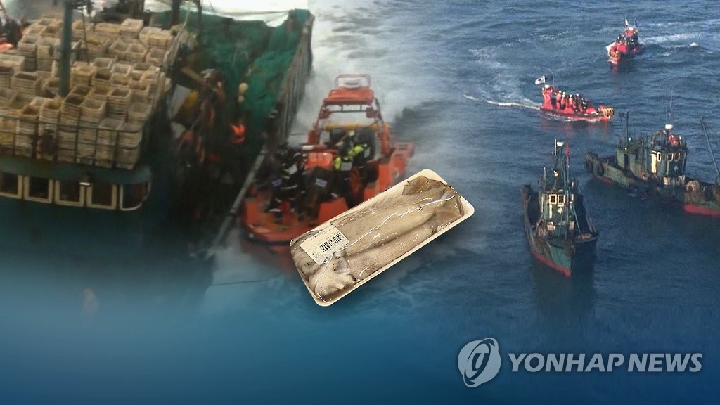 동해안 오징어 씨 말라…중국어선 싹쓸이 조업"(CG)