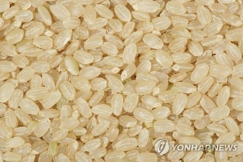 현미