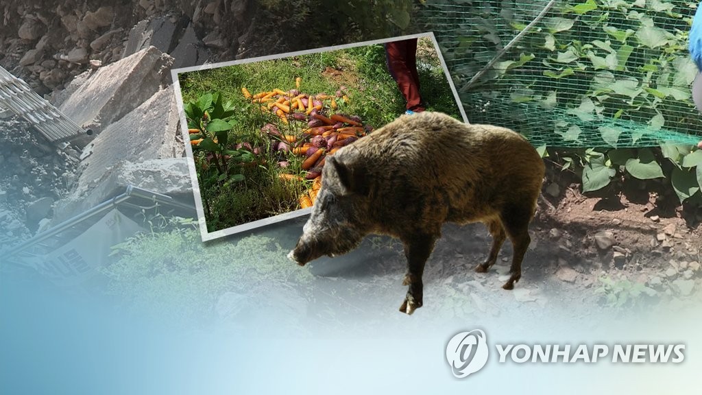 멧돼지의 습격(CG)