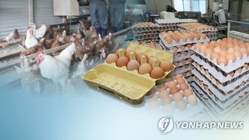 유럽 살충제 계란 파문땐 괜찮다더니…안방사정 모른 정부(CG)
