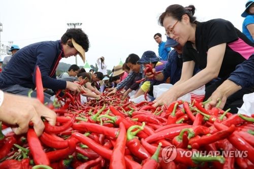 청양 고추구기자축제