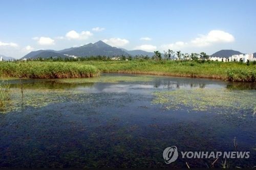 부산 을숙도 생태공원