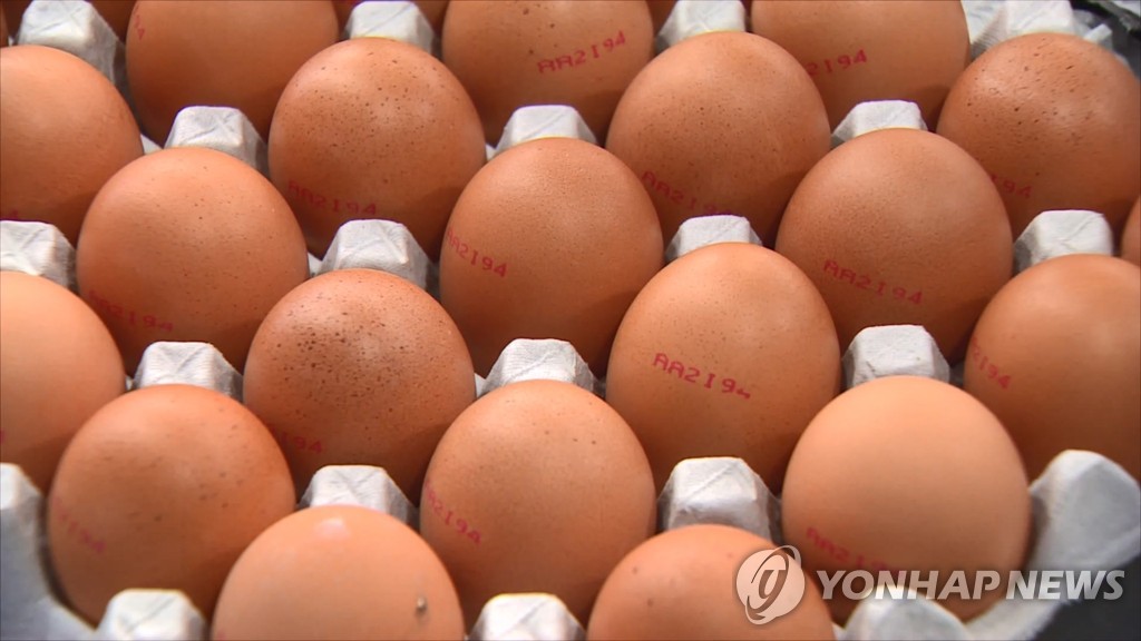닭 사육환경 표시제 시행