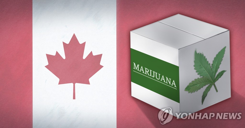 캐나다 마리화나 합법화 (PG)