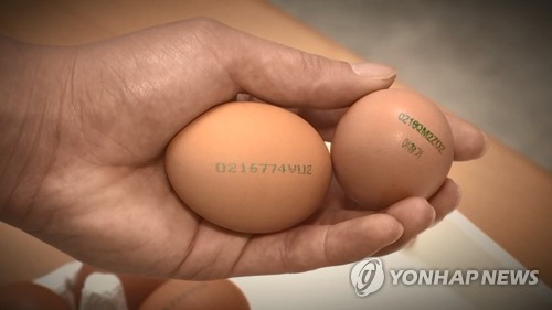산란일자가 표시된 달걀