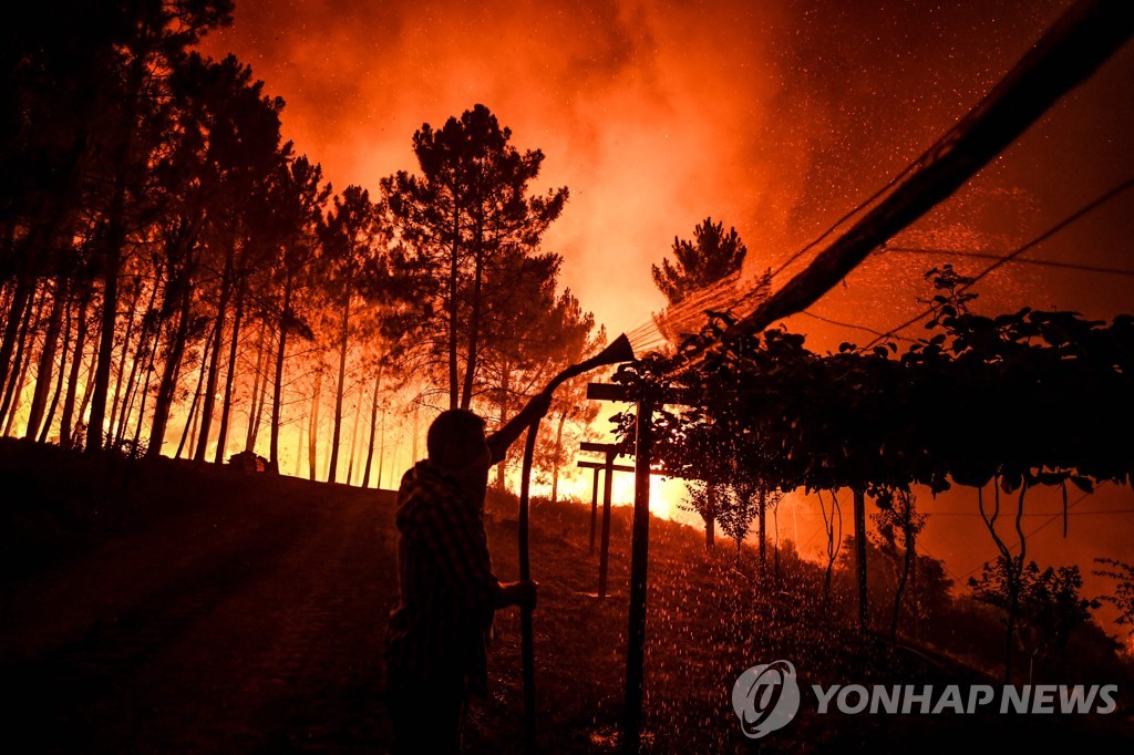21일(현지시간) 포르투갈 중부 산불 [AFP=연합뉴스]