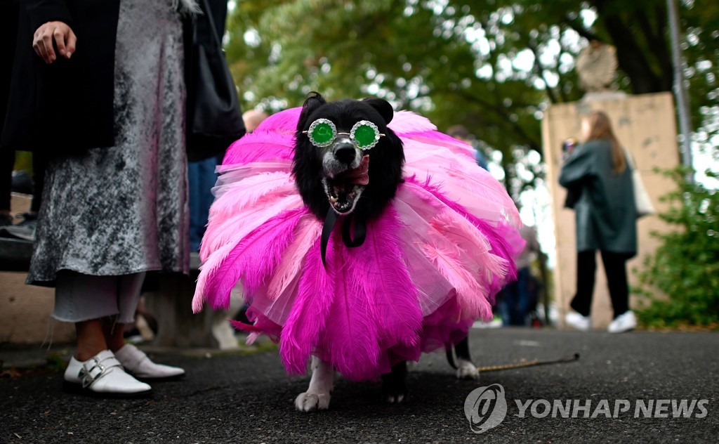US-LIFESTYLE-HALLOWEEN-DOG