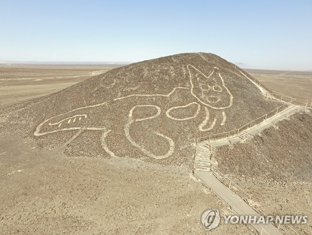 PERU-ARCHAEOLOGY-NASCA LINES-CAT