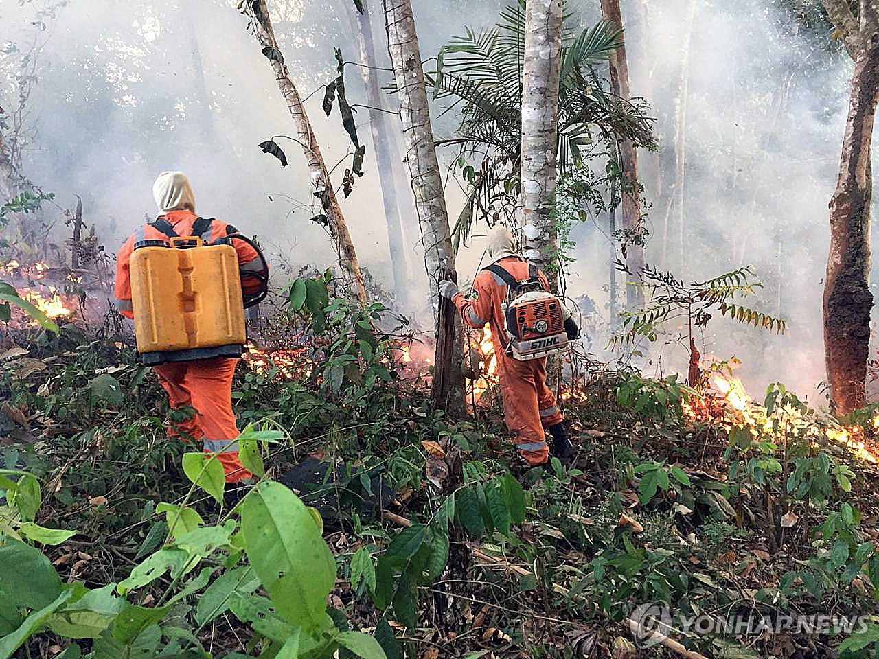 ′불타는 지구의 허파′…아마존 열대우림 산불 급증
