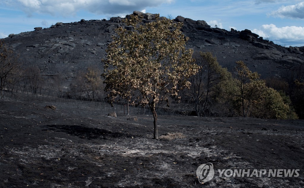 SPAIN FIRE