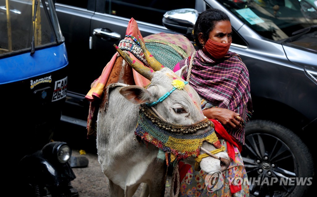 INDIA TRADITIONS PONGAL FESTIVAL