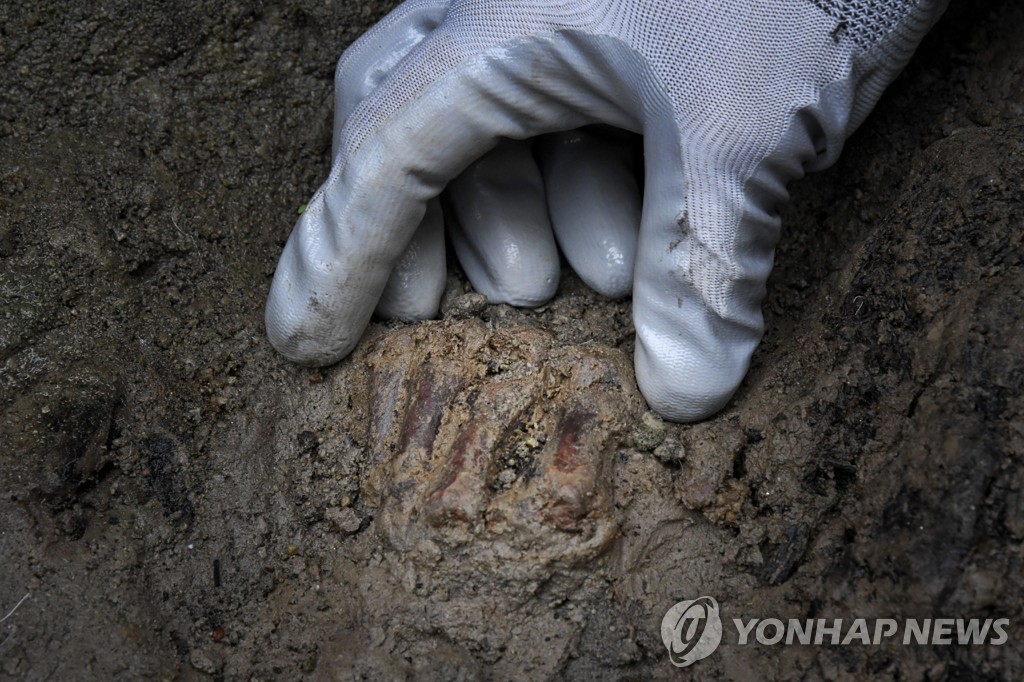 15일(현지시간) 헤르쿨라네움 유적지에서 발견된 남성의 손 부분.