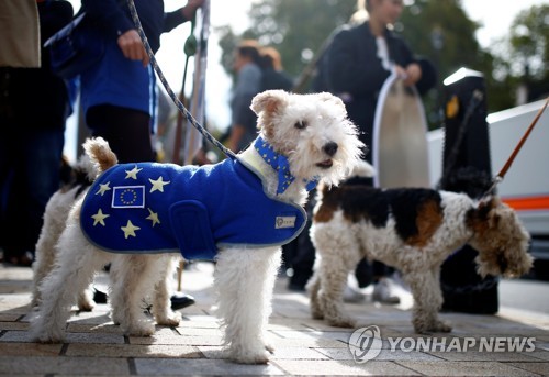 'WOOFERENDUM'행진에 참여한 반려견