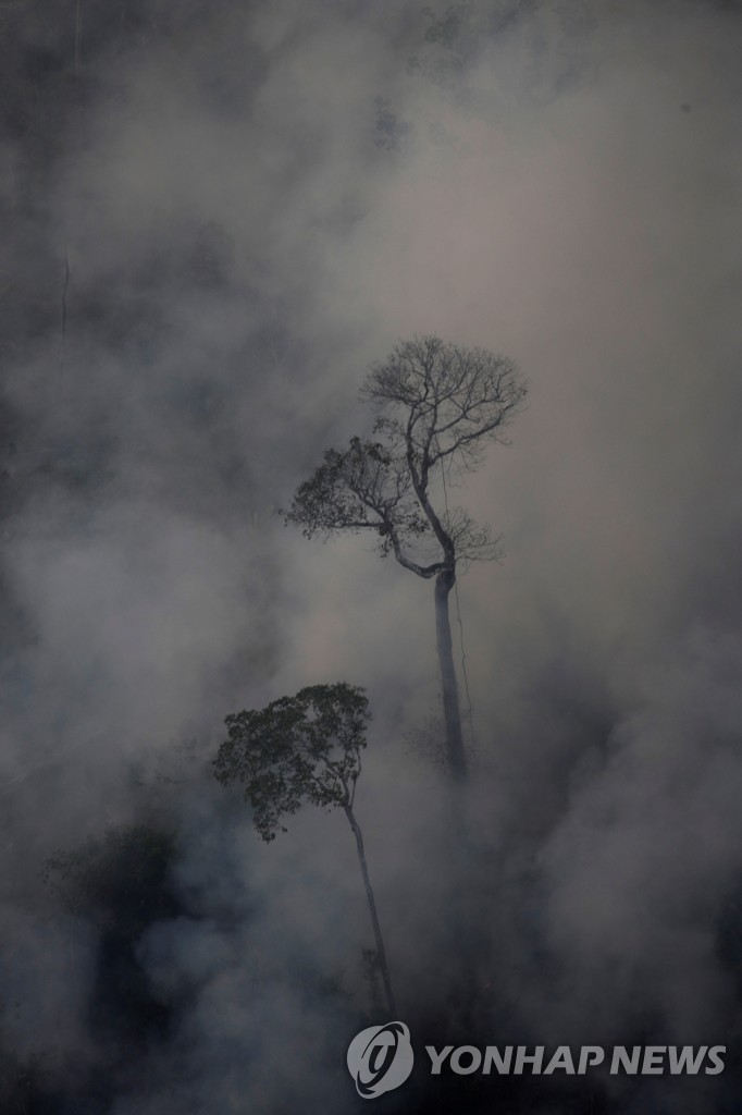 BRAZIL-ENVIRONMENT/WILDFIRES