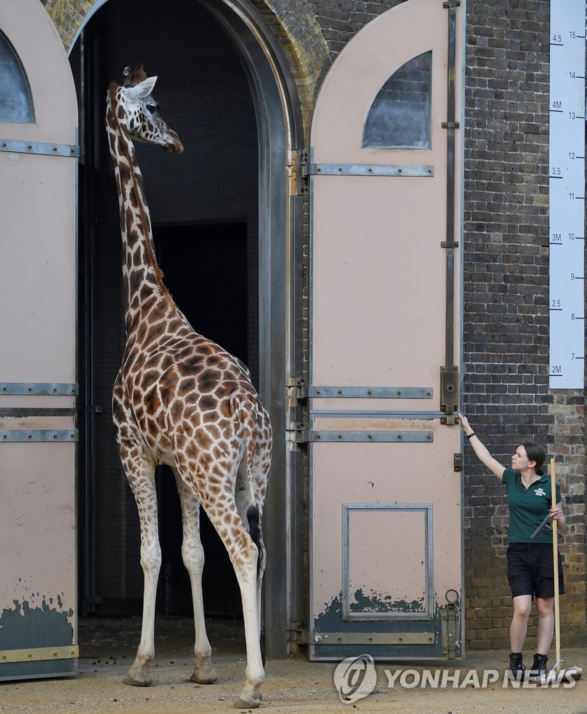 BRITAIN-ZOO/