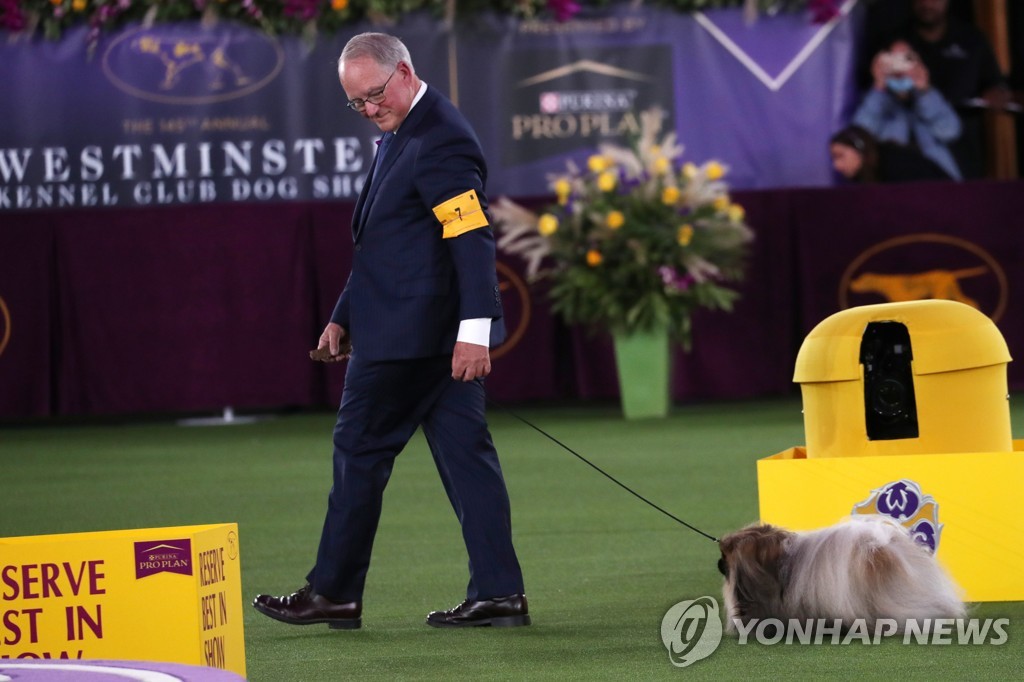 USA-DOGSHOW/WESTMINSTER