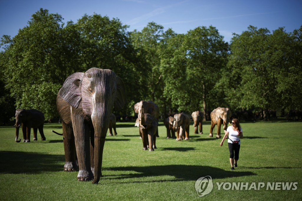 BRITAIN-ENVIRONMENT/ELEPHANTS