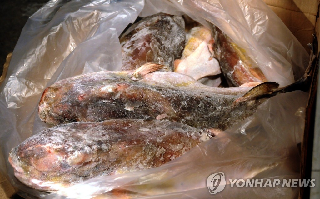 불법수입된 맹독성 태국산 복어［연합뉴스 자료사진］