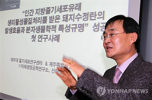 실험용 돼지 수정란 대량 확보 기술 설명