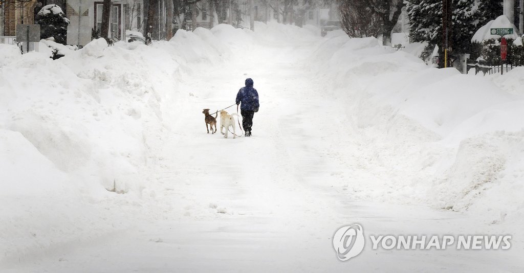 뉴잉글랜드 등 미국 동북부 지역에 겨울폭풍이 며칠째 이어진 가운데 9일(현지시간) 매사추세츠주 뉴베리포트에서 한 주민이 개들과 눈언덕 사이를 산책하고 있다. (AP/뉴베리포트 데일리 뉴스=연합뉴스)