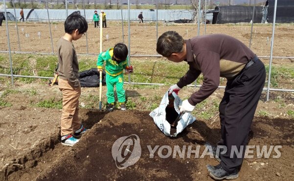 2015년 4월 성남시가 분양한 무료 도시텃밭을 찾은 가족들