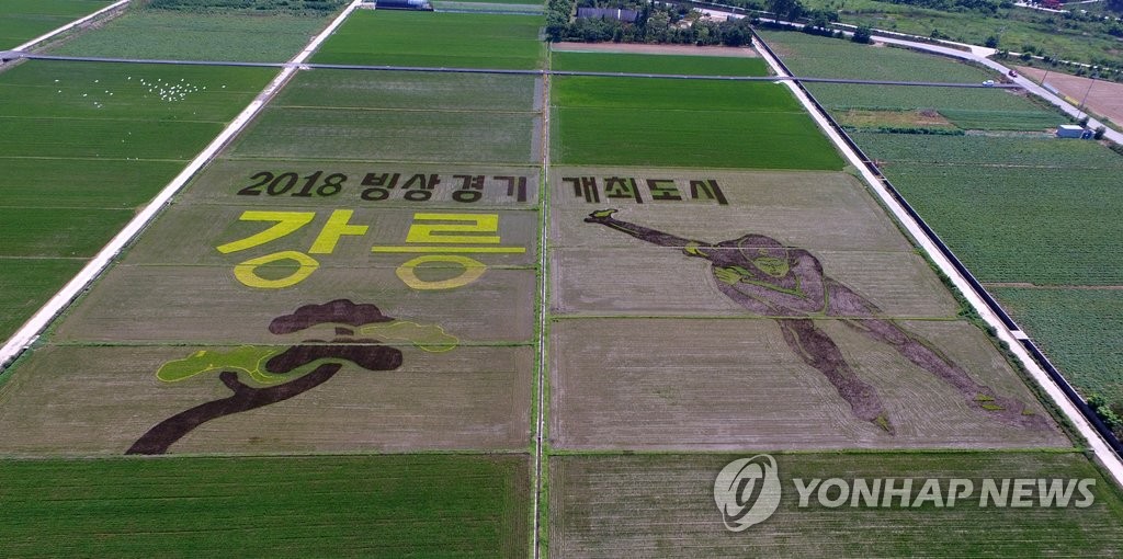 논 모자이크로 강릉 홍보