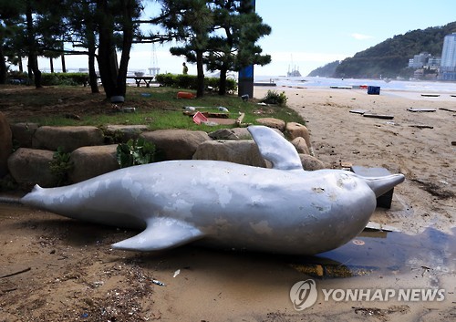 <태풍 차바> 육지로 떠밀려온 돌고래 동상