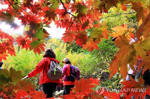 단풍 무르익는 설악산