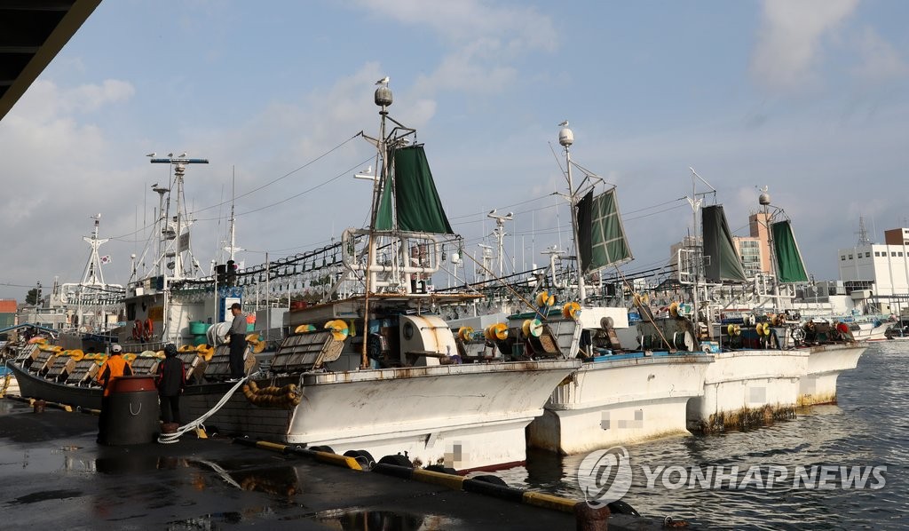 오징어 성어기인데 썰렁한 강릉 주문진항(자료사진)