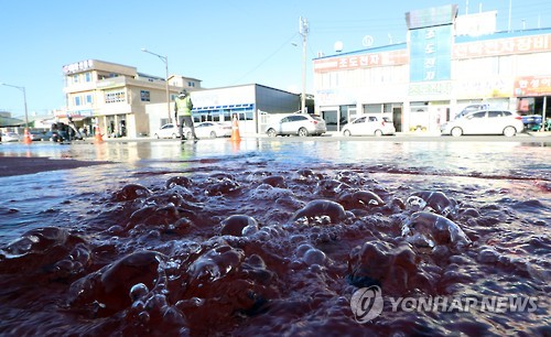 끓어오르는 듯한 바닷물