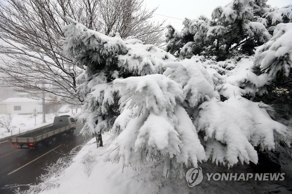 지난 5일 오후 눈이 내리는 강원 고성군 진부령에서 차량이 서행하고 있다.[연합뉴스 자료사진]
