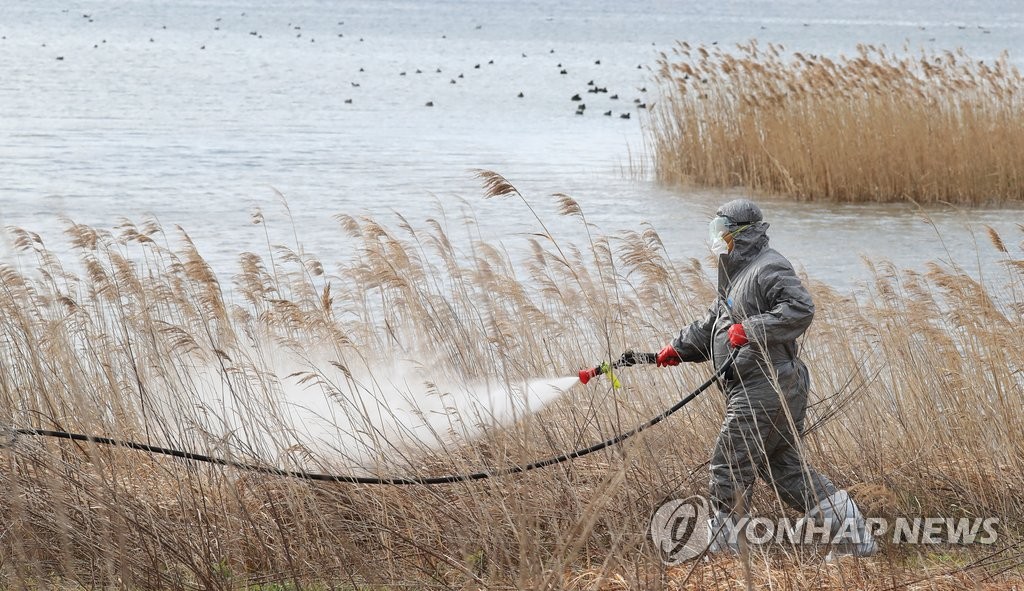 AI 바이러스 확산을 막아라