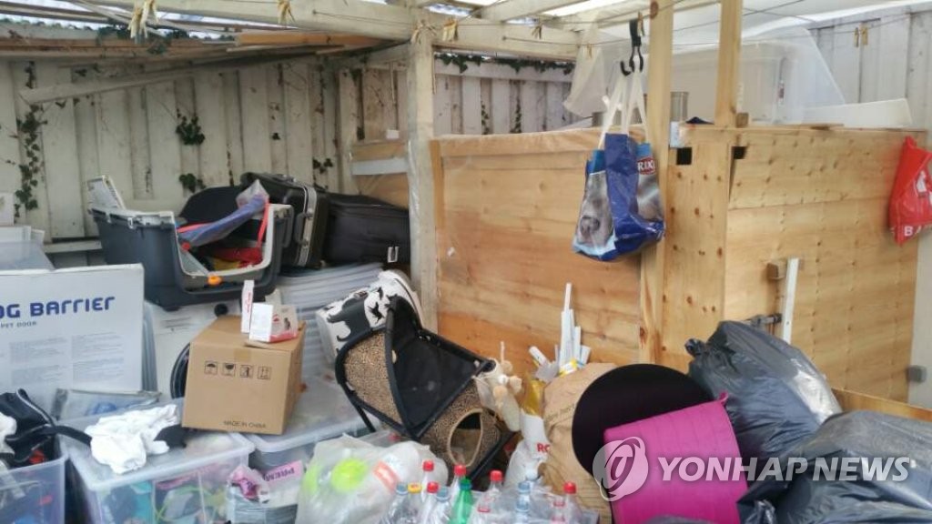 모두 떠나 버린 정유라 덴마크 거주지