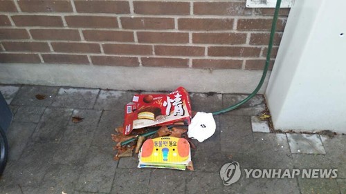 정유라의 흔적