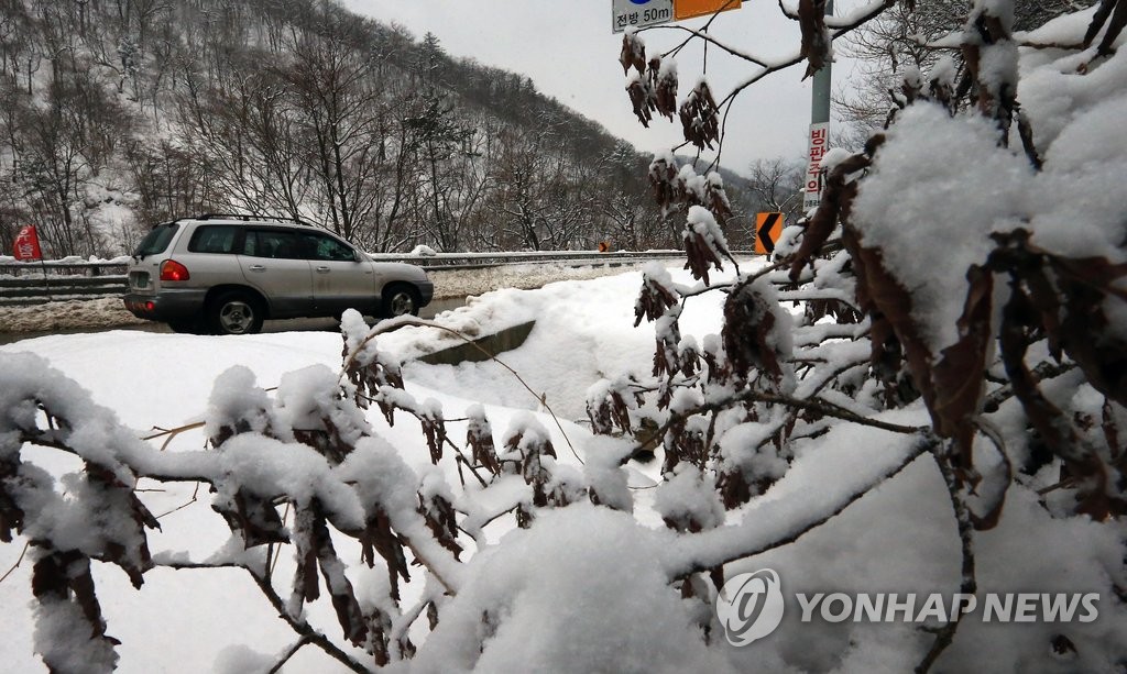 귀경길 조심조심 (양양=연합뉴스) 이종건 기자 = 연휴 마지막 날인 30일 대설주의보 속에 많은 눈이 내린 한계령에서 차량이 서행하고 있다. 2017.1.30 momo@yna.co.kr