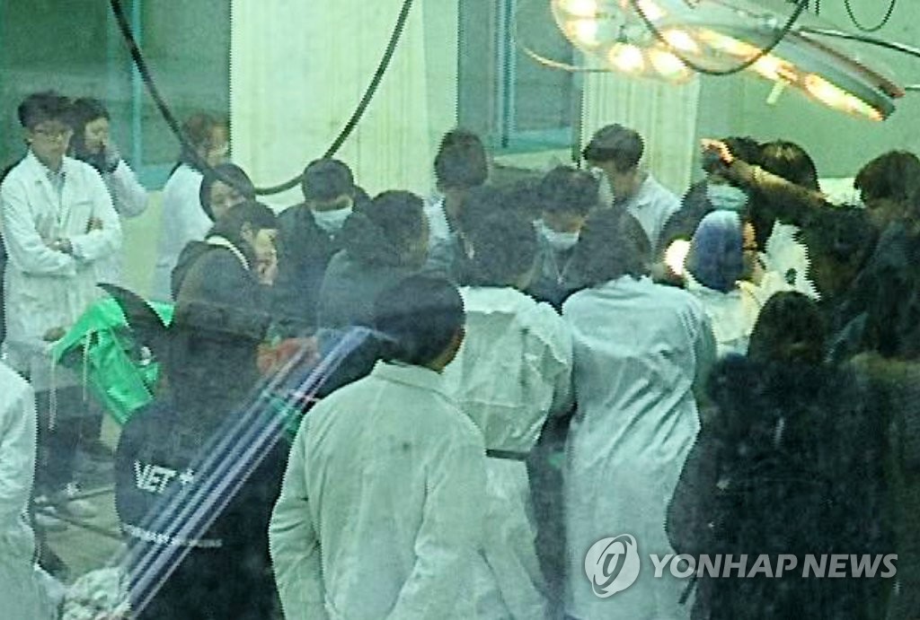 폐사 돌고래 부검