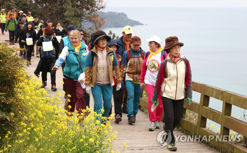 제주 유채꽃 해변 걸으며 힐링