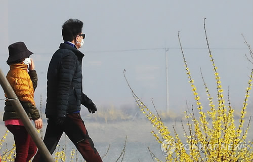 봄꽃 속 마스크 산책