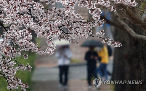 '촉촉'한 봄비 속 포근함 이어져…서울 최고 20도 - 1