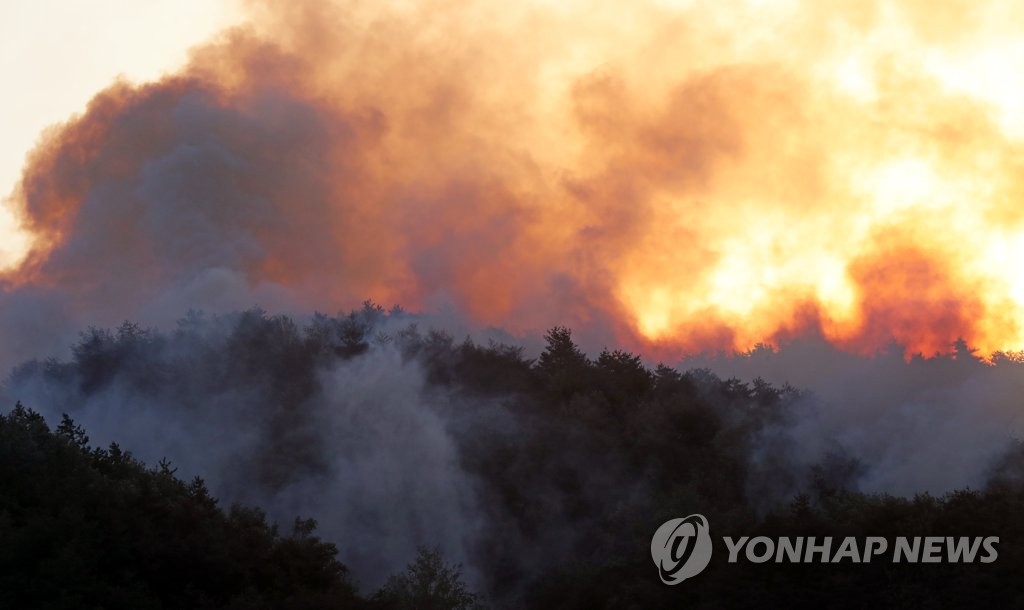 언제 꺼지나…강릉산불 재발화